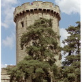 Guy's Tower